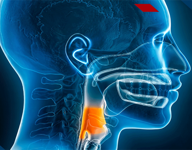 seminar image