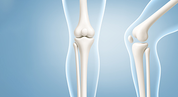 MAC 3: Masterclass Arthroscopy Course