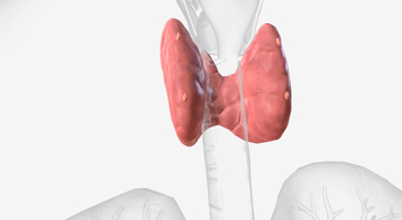 Ημερίδα Χειρουργικής Κλινικής: Όζος Θυρεοειδούς Αδένωμα Παραθυρεοειδούς